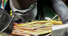 Protecting Your Vehicle Wiring from Rodents