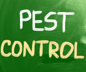 A Sustainable Approach to Pest Control