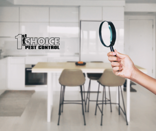 Pest Control | Pest Removal | Exterminator | 1st Choice Pest