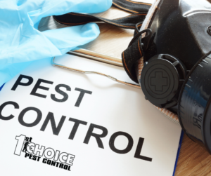 Effective Pest Control Strategies