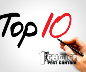 Top 10 Most Common Household Pests