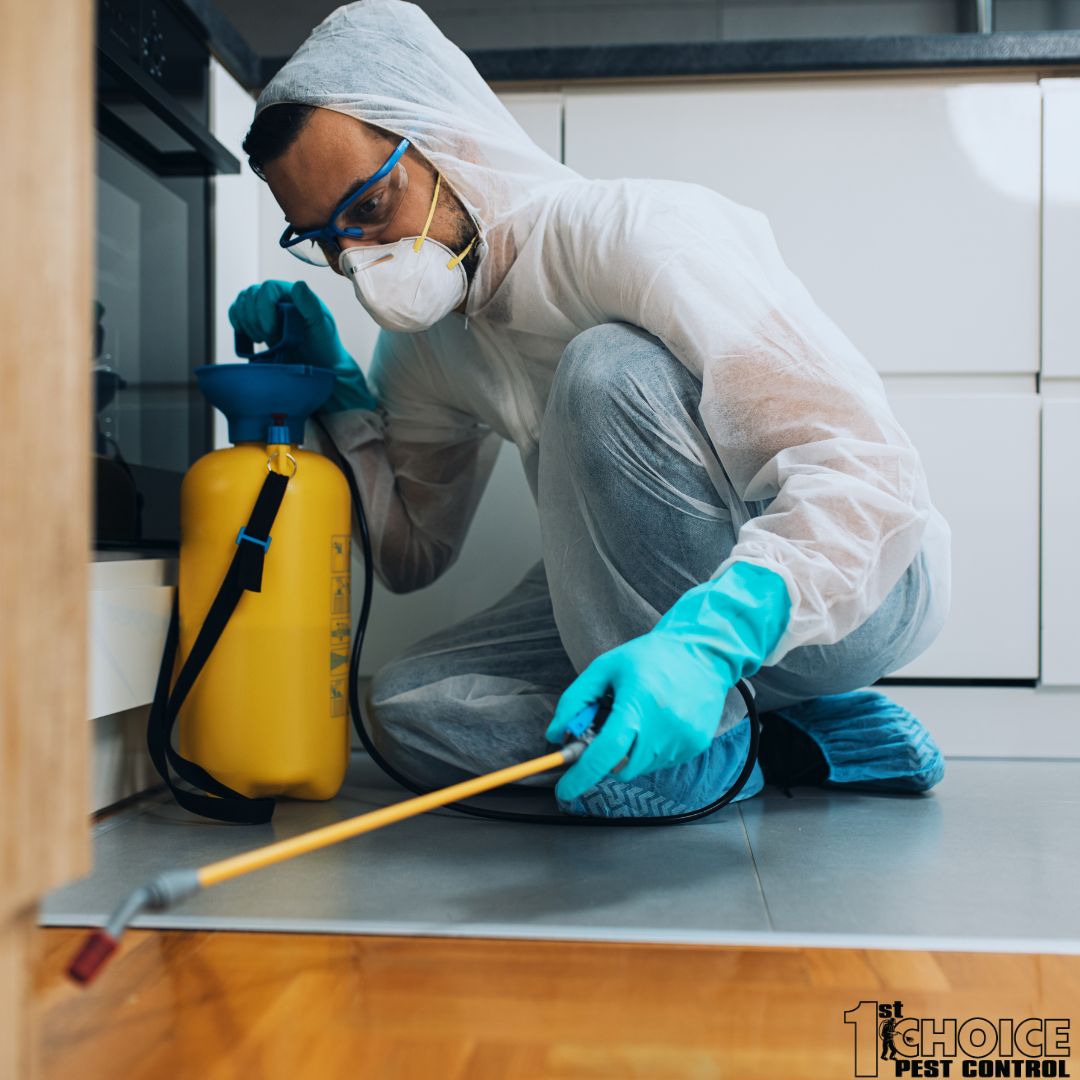 Why Professional Pest Control is a Better Choice Than DIY